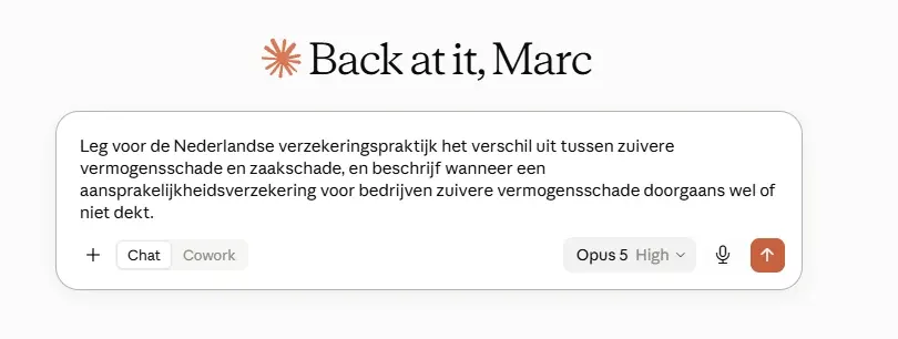 Screenshot van de prompt bij Claude Opus 5